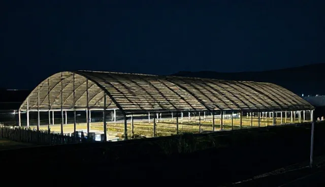 5个检查要点提升会议接待套餐使用效率
